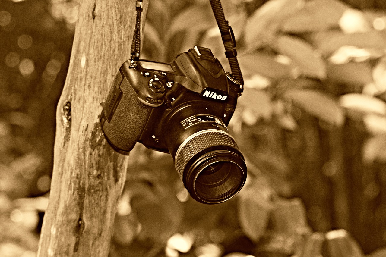 cámara digital, fotografía, tecnología