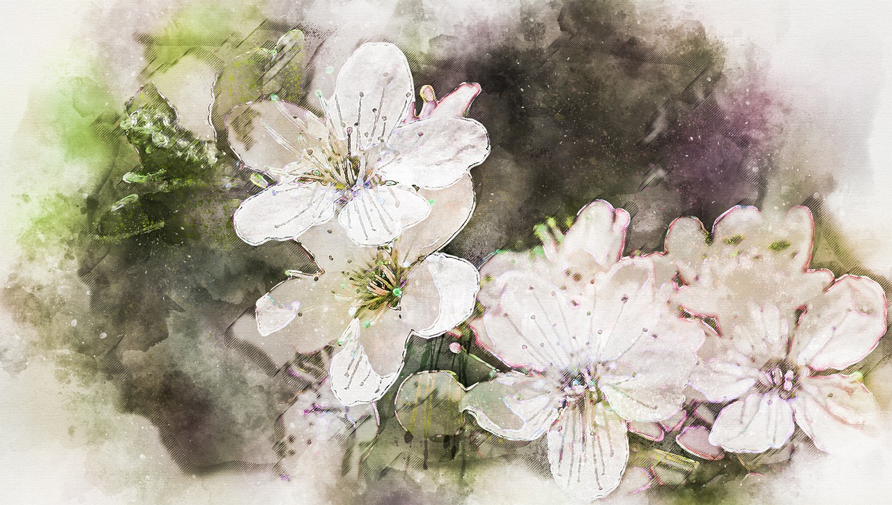 almendros en flor, árbol de almendra, primavera